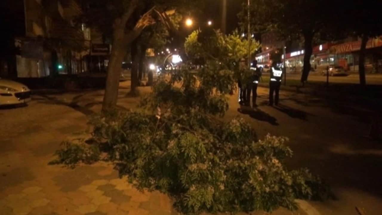 Kars'ta şiddetli sağanak ve fırtına hayatı felç etti! Evlerin çatıları uçtu, ağaçlar kökünden söküldü!