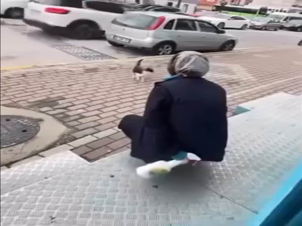Kedinin yüzüne yağ çözücü sprey sıkan market çalışanı adli kontrol şartıyla serbest