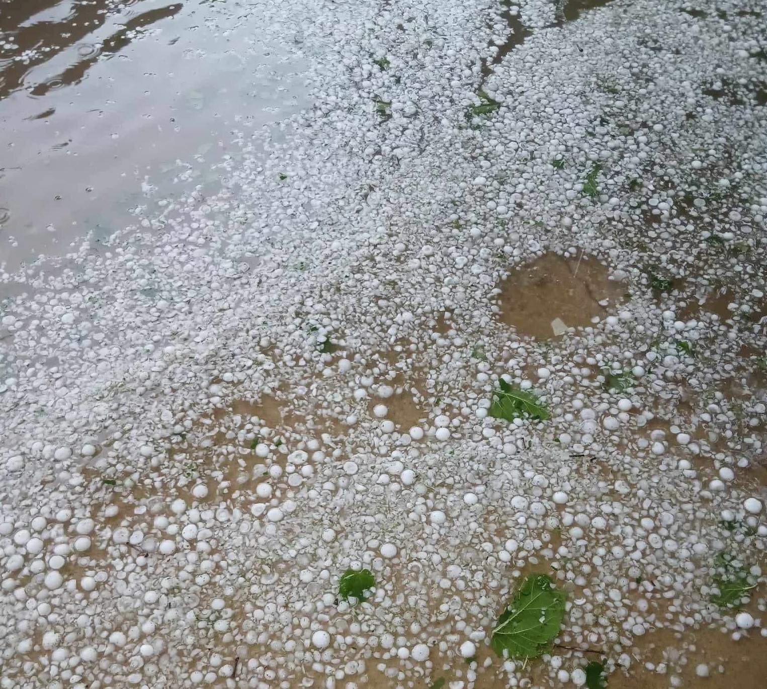 Kırklareli'nde şiddetli dolu yağışı: Köy ve çevresi beyaz örtüyle kaplandı