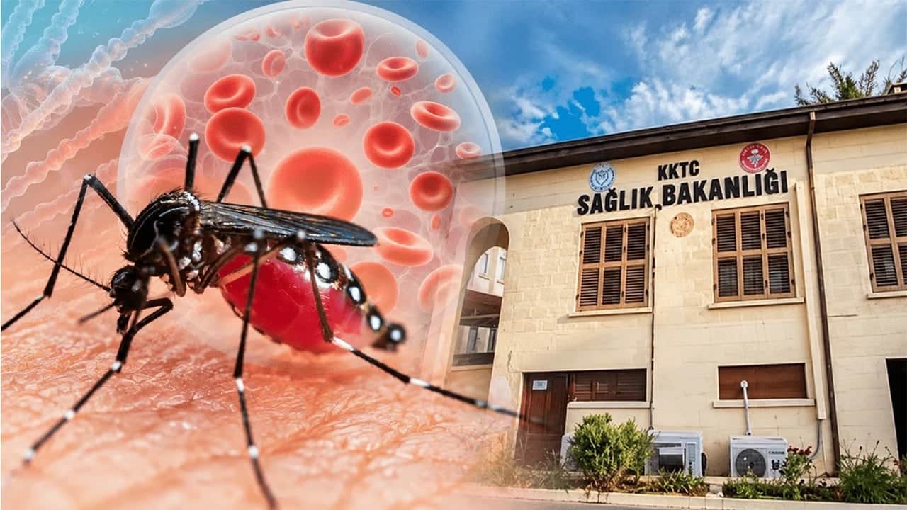 KKTC'de Biri rutin kontrolde 3 Batı Nil virüsü tespit edildi