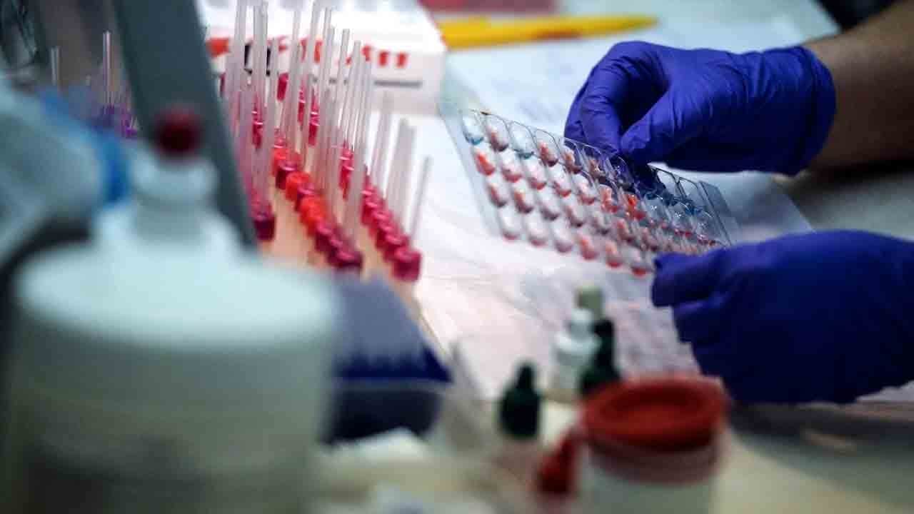 Kök hücreden T hücresi üretildi: Kanser tedavisinde yeni fırsat