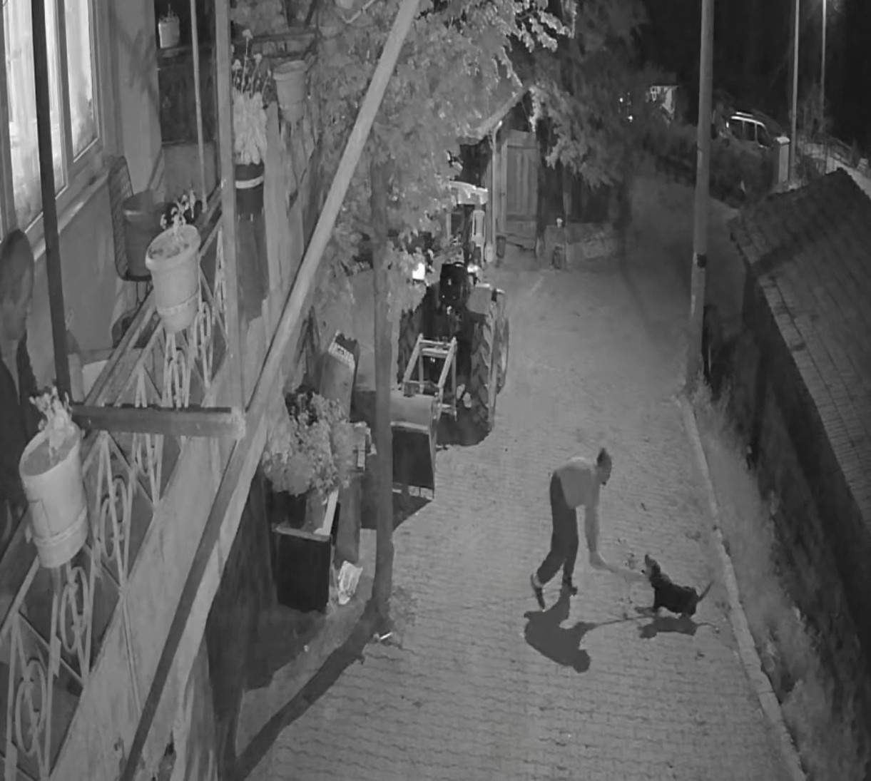 Köpeği demir sopayla öldürdü; o anlar kamerada