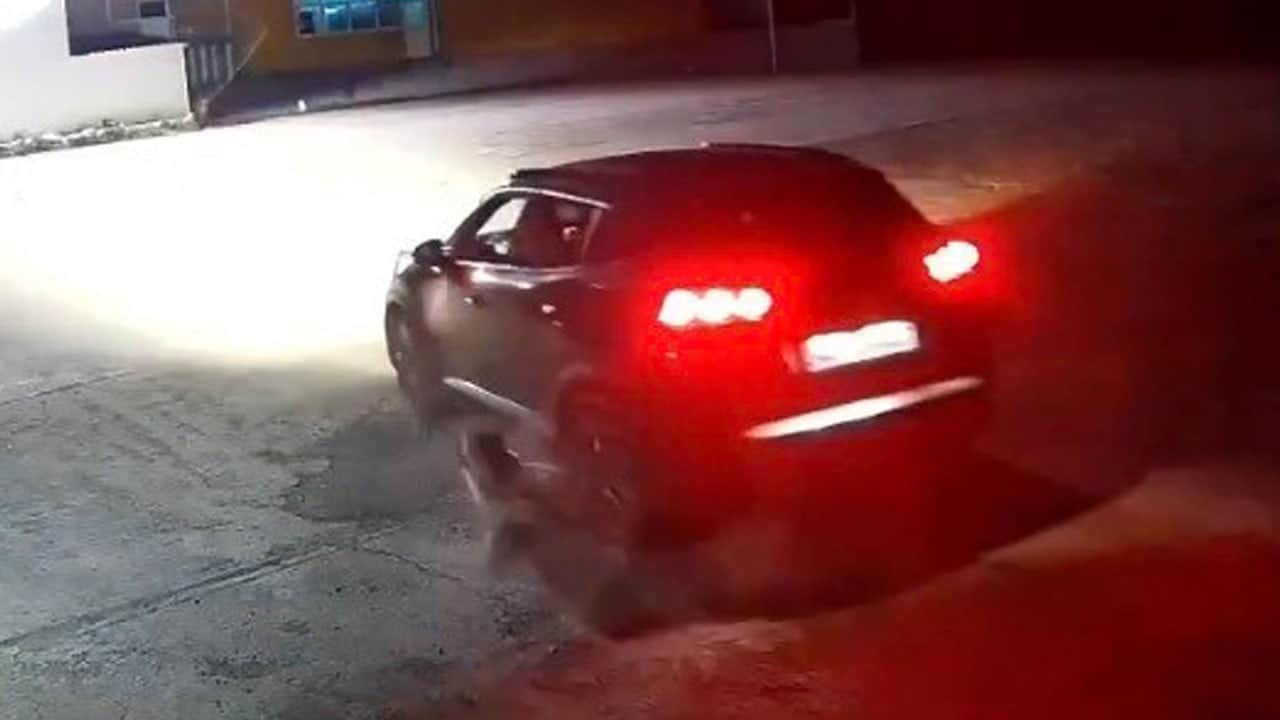 Köpeği ezip aracıyla üzerinde bekledi! Valilik vicdansızın peşine düştü