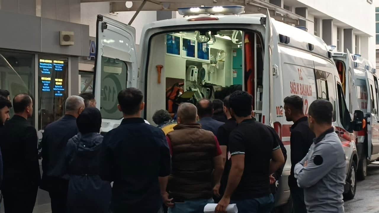 Korkunç ölüm! Hayvanlarını otlatırken yıldırım isabet etti