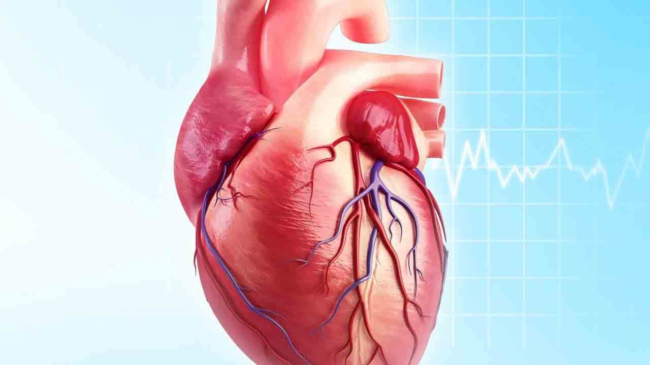 Koşu mu yüzme mi? Kalp için en etkili egzersiz belli oldu