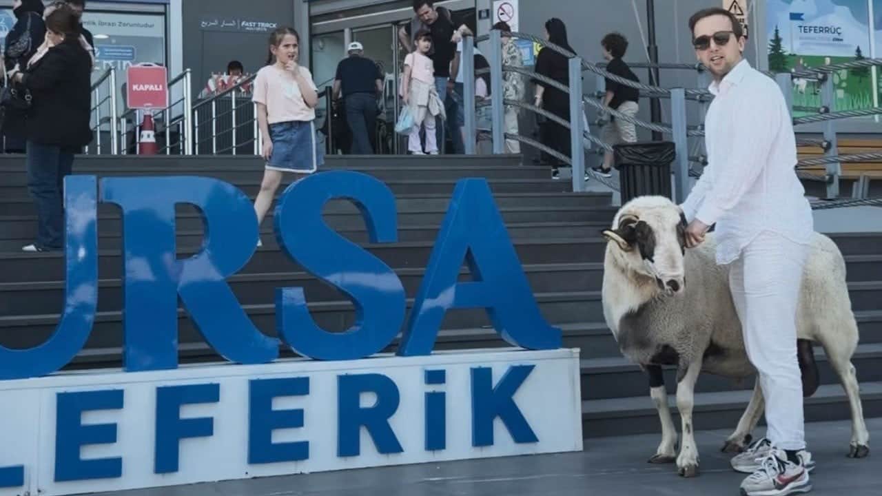Kurbanlık koçunu kesmeden önce teleferikle Uludağ’ın zirvesine çıkarıp gezdirdi