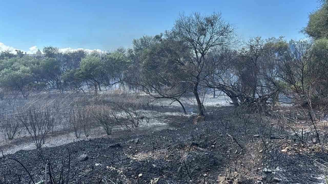 Manavgat’ta yangın paniği: Oteller bölgesi alevlerle sarsıldı!