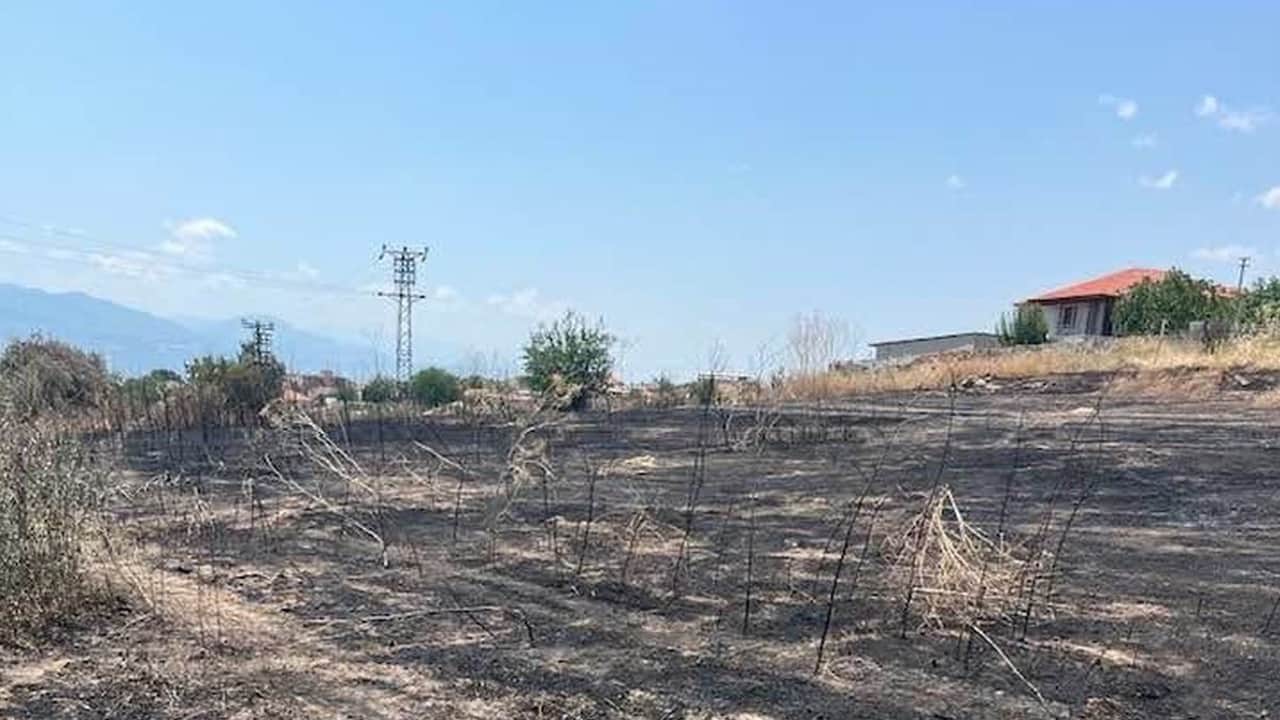 Manisa'da yangın uyarısı!