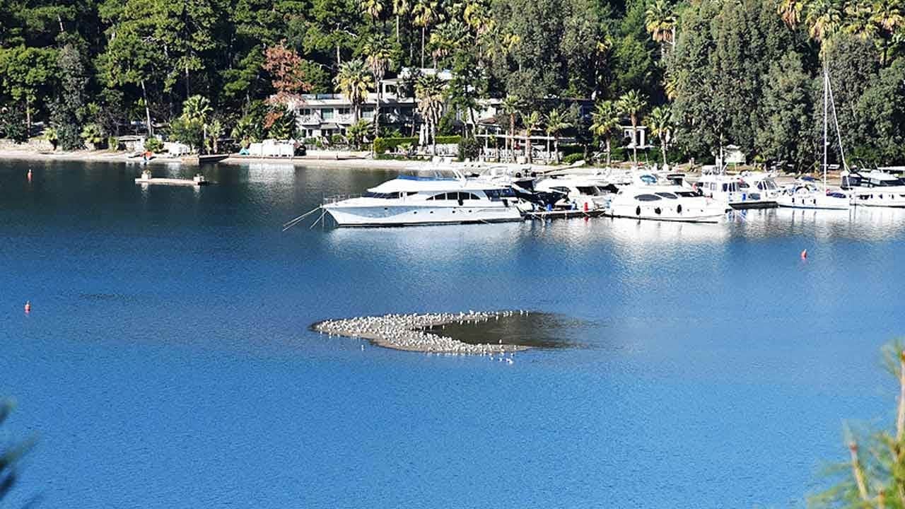 Marmaris'te korkutan olay