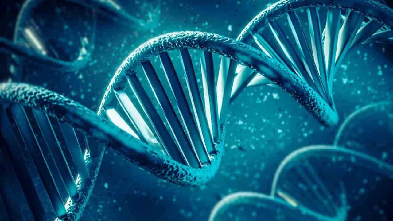 Mendel yasaları yıkılıyor! Çevre kalıtımı nesilden nesile aktarıyor