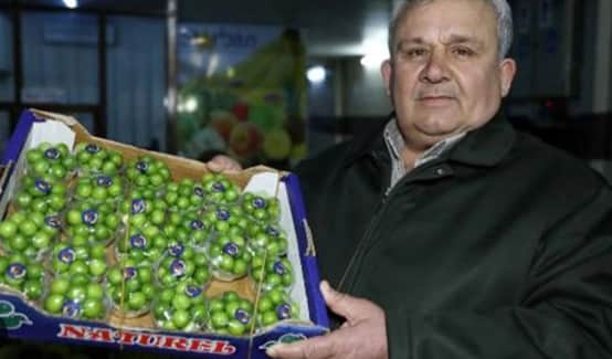 Mersin Mut’ta Erik Bolluğu: Fiyatlar 30 TL’den 170 TL’ye Kadar Değişiyor