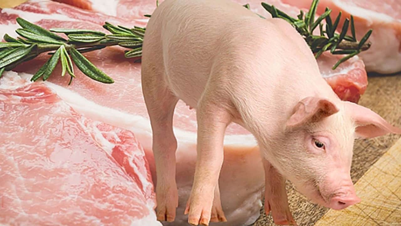 Millete yedireceklerdi! Onlarca kilo domuz eti ele geçirildi