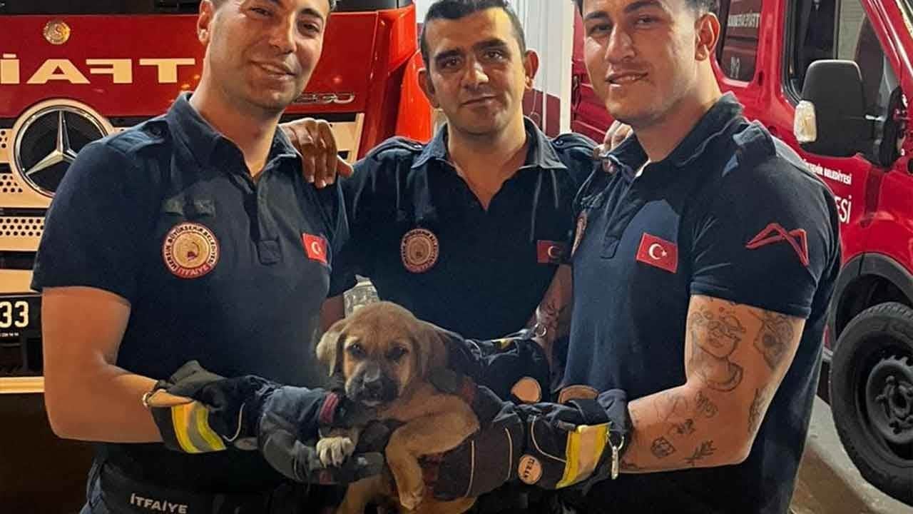 Minik dostumuz için seferberlik! Otomobilin motoruna sıkışan yavru köpeği itfaiye kurtardı!