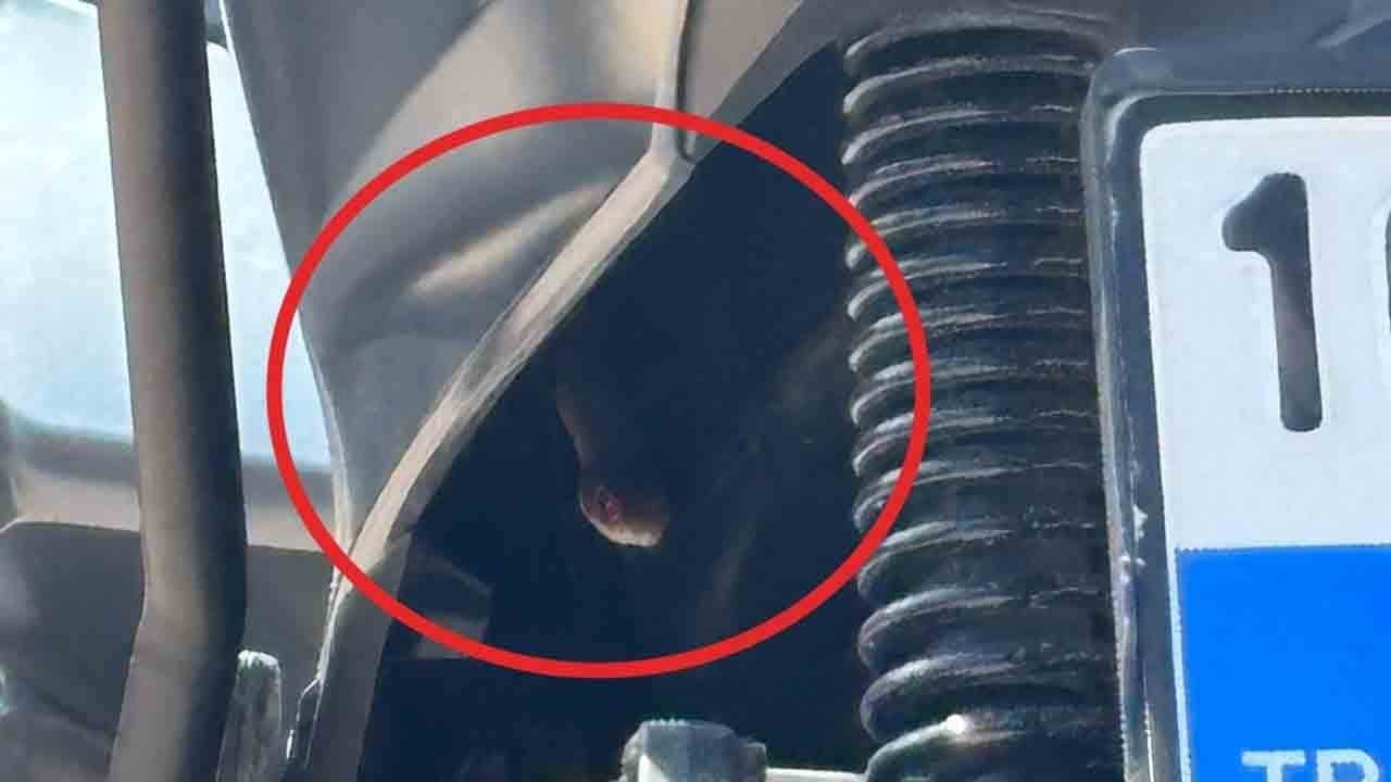 Motosikletinde yılan şoku: Sürücü gözlerine inanamadı!