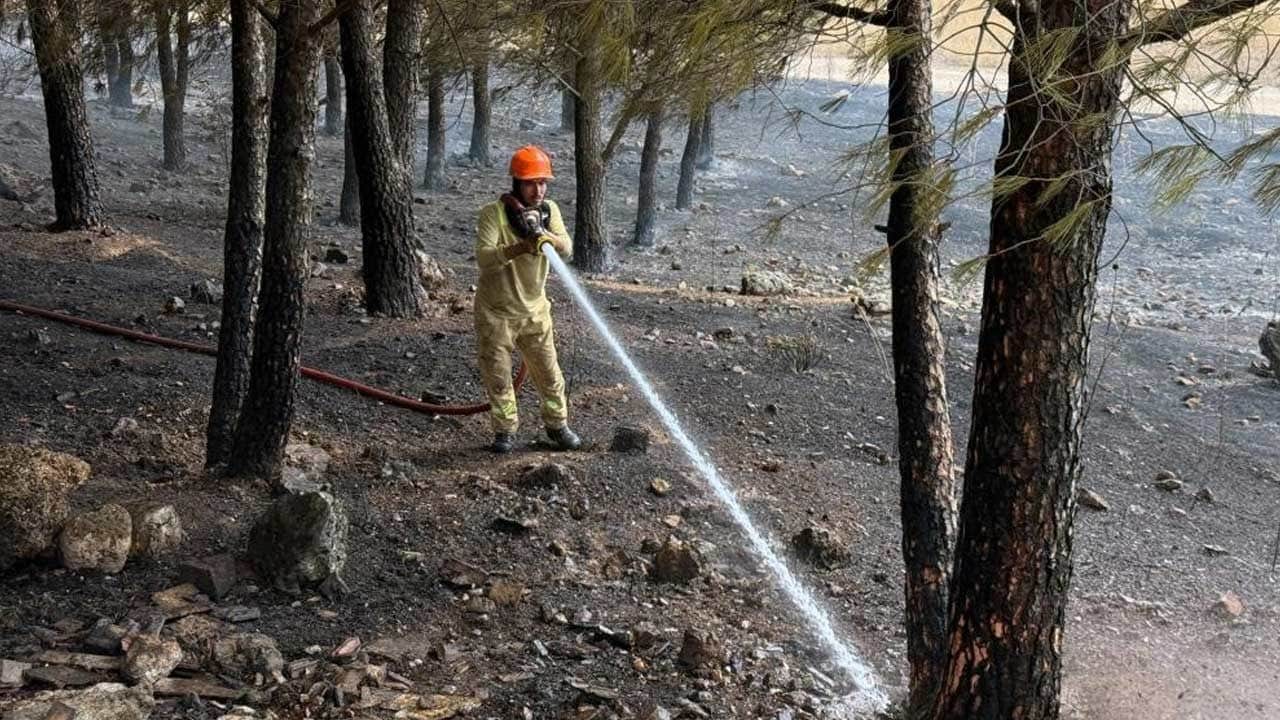 Muğla Menteşe'de arazi yangını: Ekiplerin müdahalesi sürüyor
