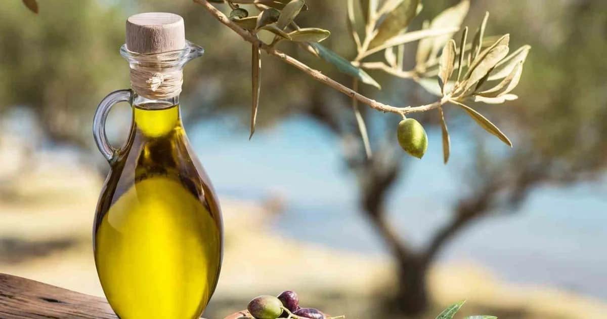 Muğla, yüzde 13,61 ile Ege Bölgesi'nin ihracat artış lideri oldu