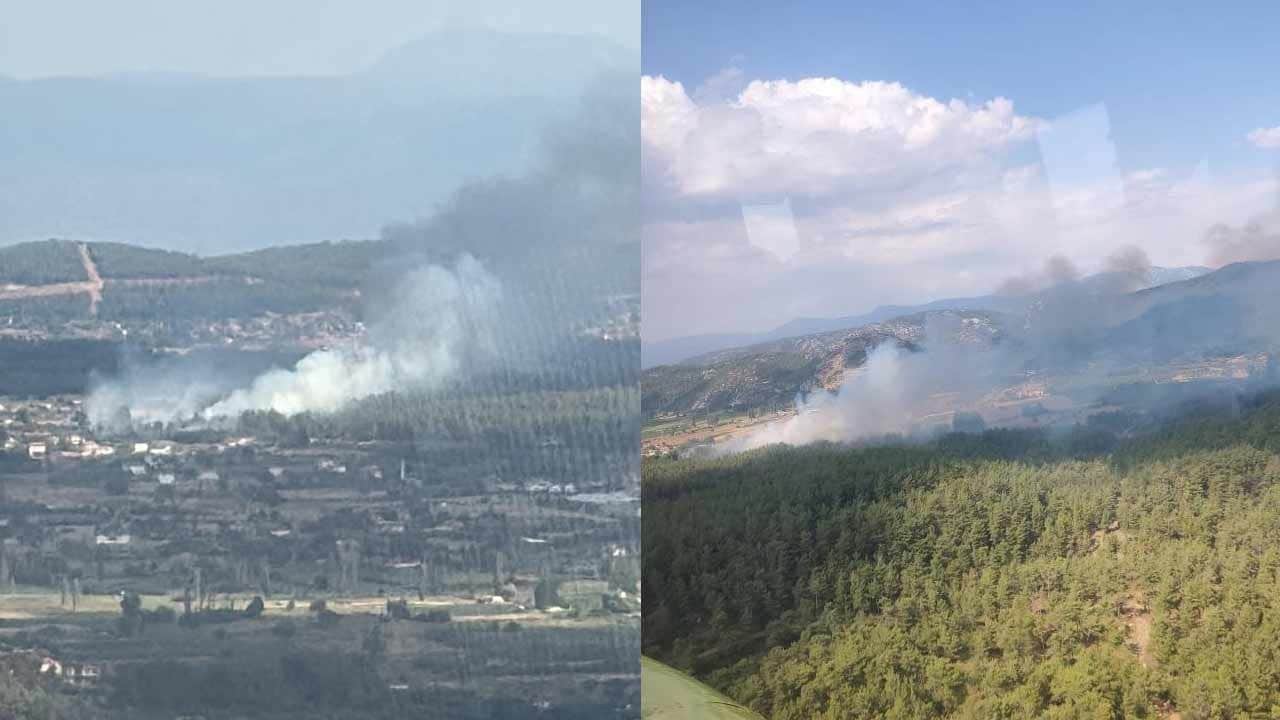 Muğla'da bir orman yangını daha