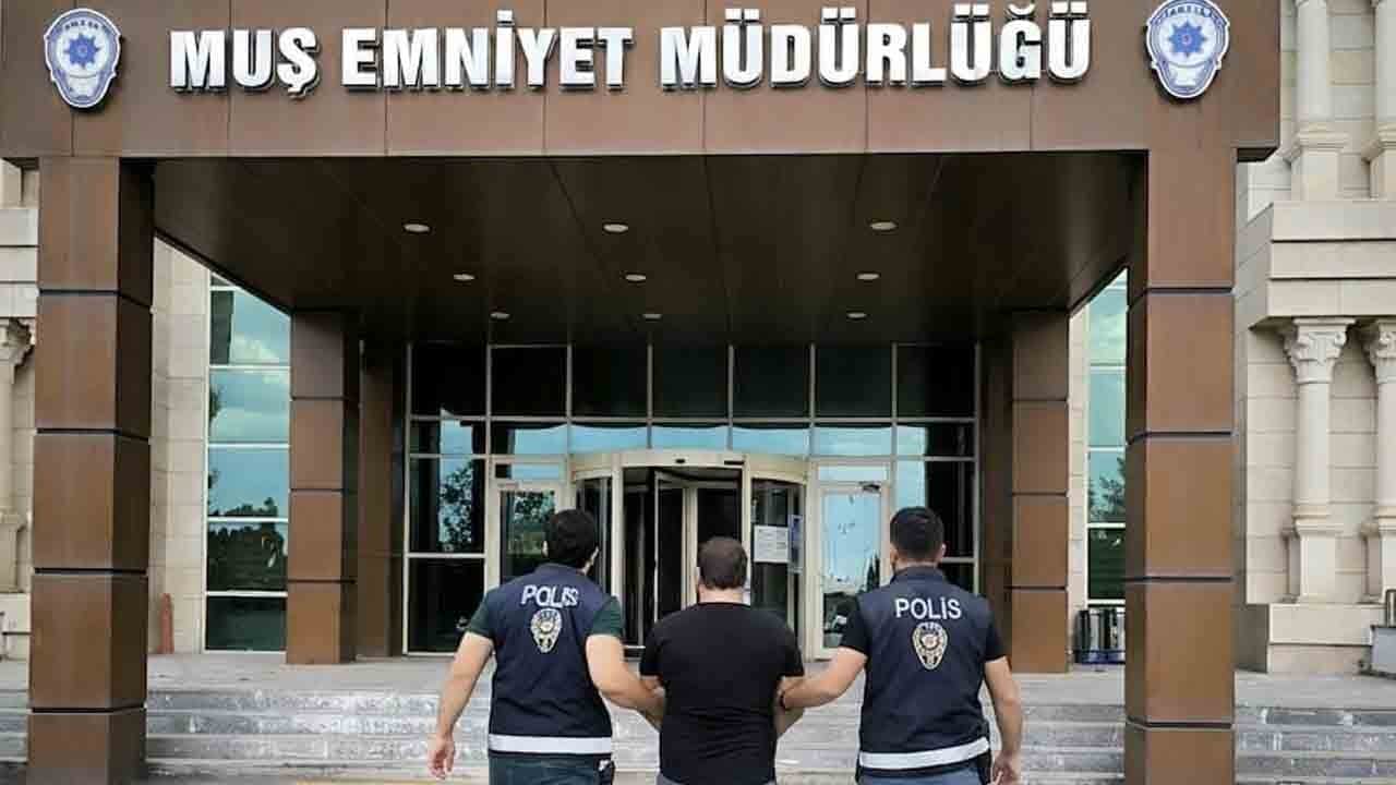 Muş'ta firari dolandırıcıya polis kelepçesi!