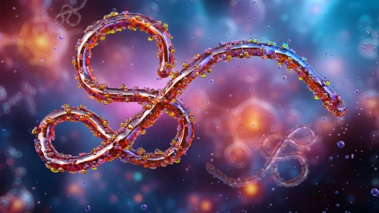 Nijerya’da Ebola virüsü alarmı