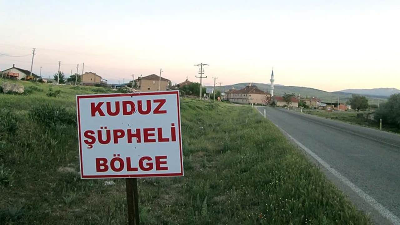 O ilçede kuduz vakası! Karantinaya alındı