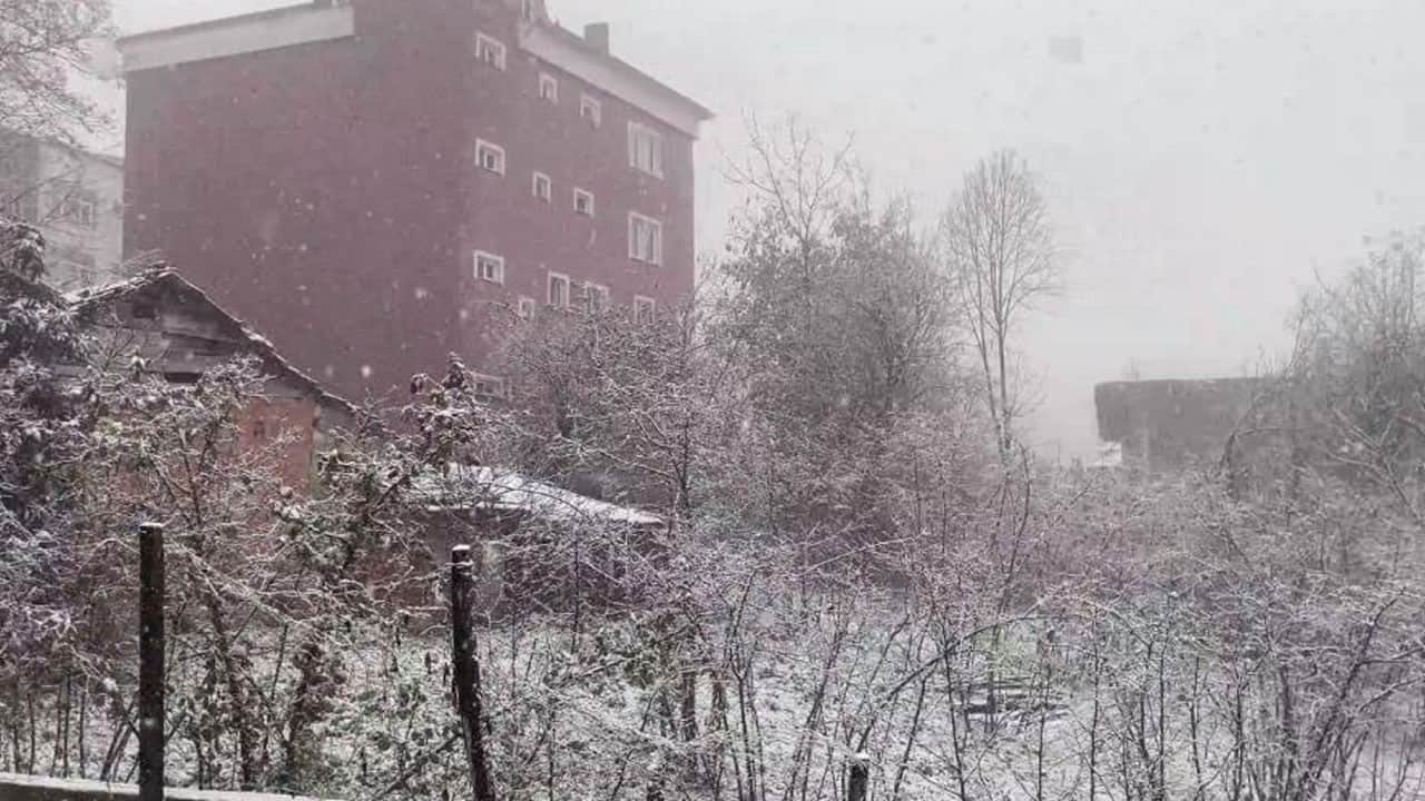 Ordu beyaza büründü