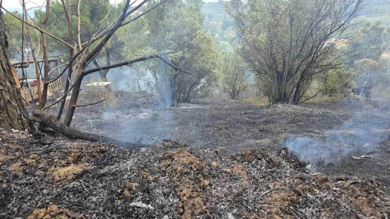 Orman yangınında neyse ki korkulan olmadı
