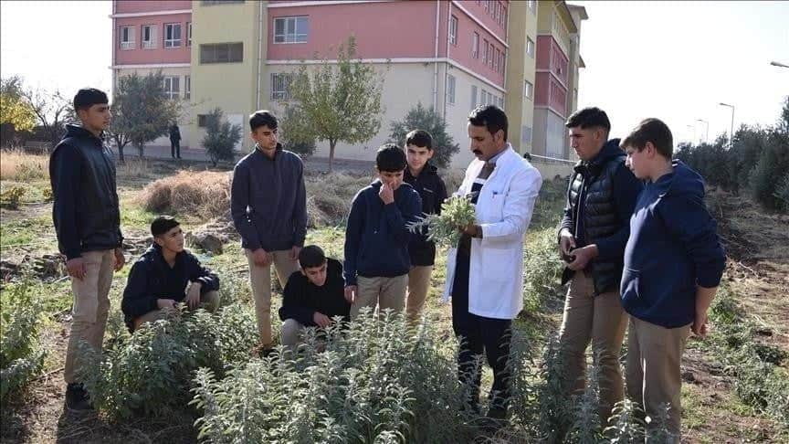 Resmi Gazete'de yayımlandı: Uygulamalı eğitim en az 1 dönem olacak