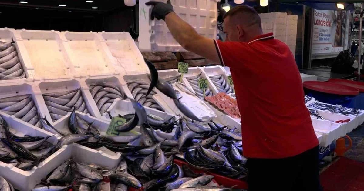 Rize'de 400 grama kadar palamudun tanesi 50, iri boyu 100 liradan satılıyor