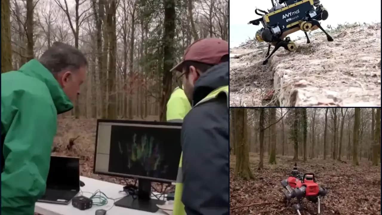 Robot köpekler orman yangınlarını önceden tespit edecek!