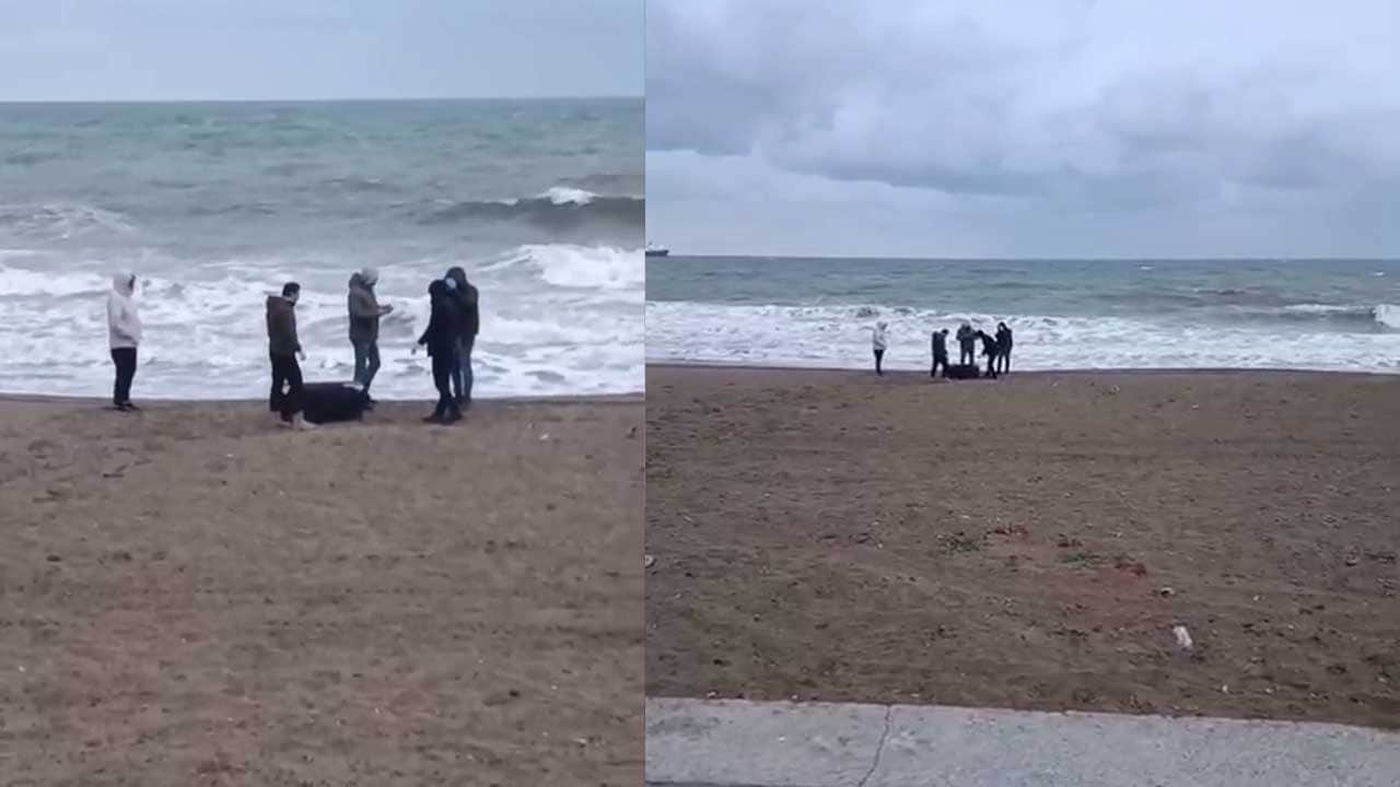 Sahile vuran çantadan uyuşturucu çıktı