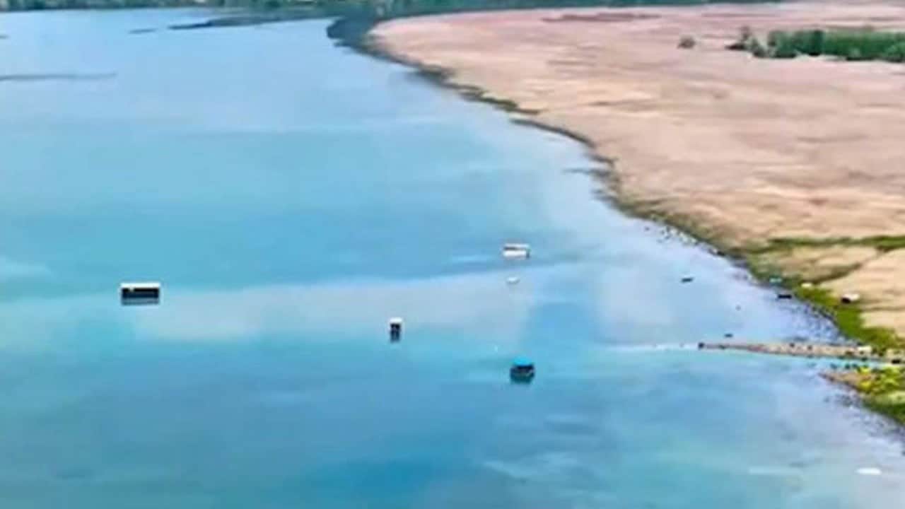 Sapanca Gölü’nde sevindiren tablo!