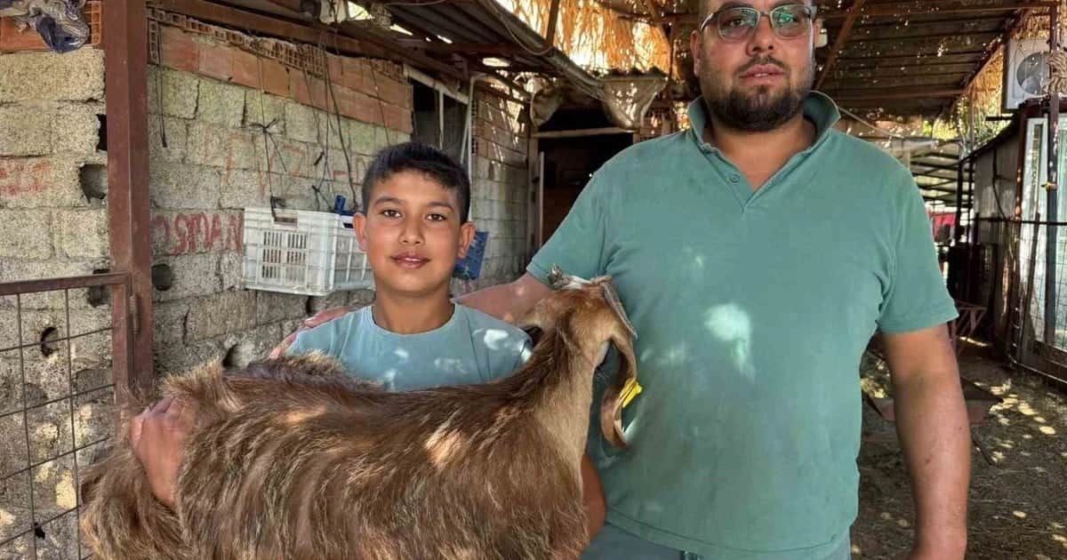 Serik'te 12 yaşındaki Fevzi Fırat Aksay, dumandan etkilenen oğlağını sırtında taşıdı