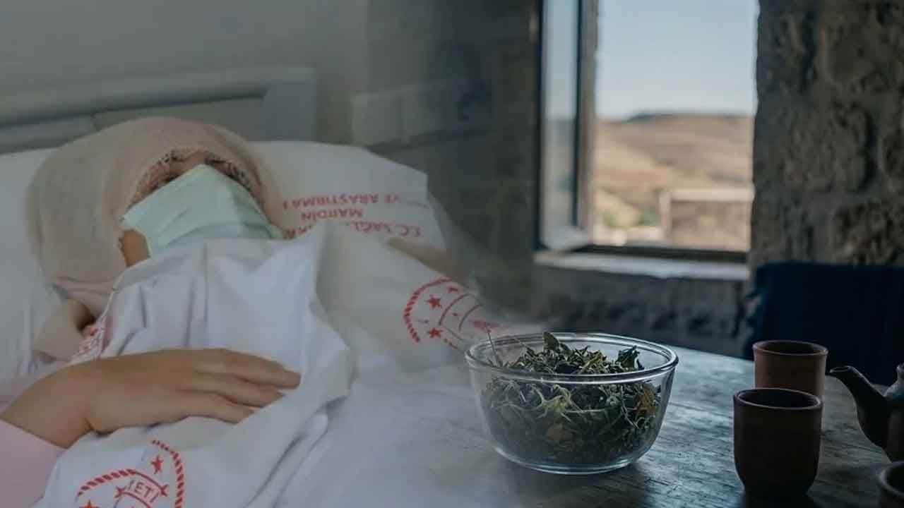 Şifa niyetine yedi, ölümün eşiğinden döndü! Şeker hastalığına iyi gelir diyenlere kandı, az kalsın canından oluyordu!