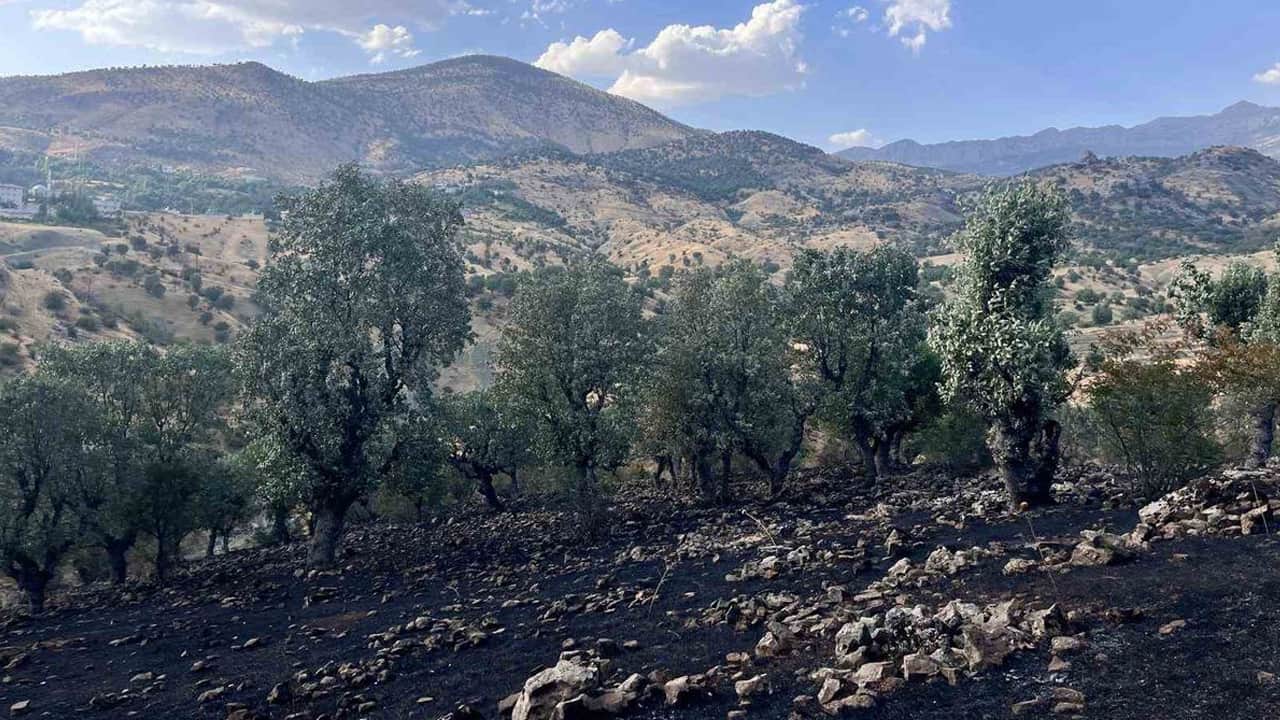 Siirt'te Yangınlarla Mücadele Sürüyor!