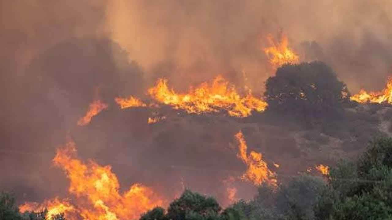 Sırbistan 20 gündür yanıyor