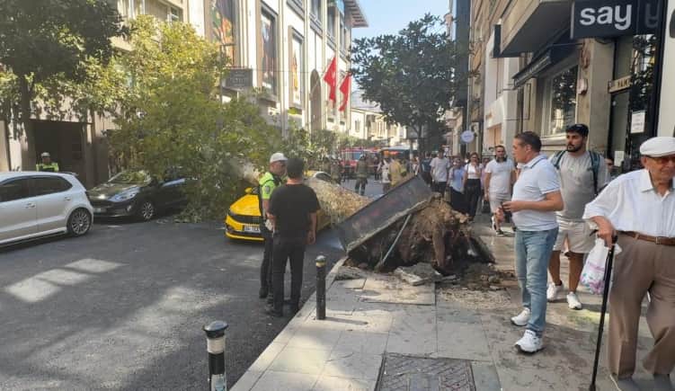 Şişli’de korkutan anlar: Koca ağaç iki otomobilin üzerine devrildi