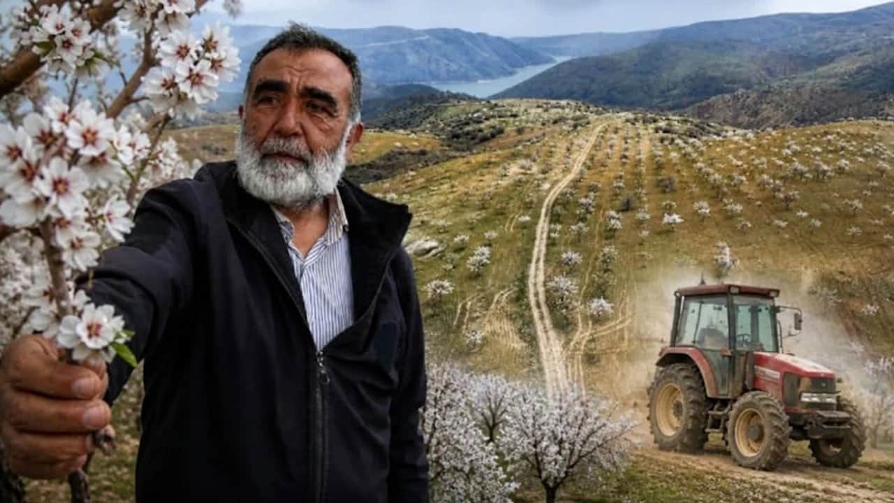 Tarımın ‘T’sini bile bilmiyordu: 1000 dönüm arazide rekor kırdı