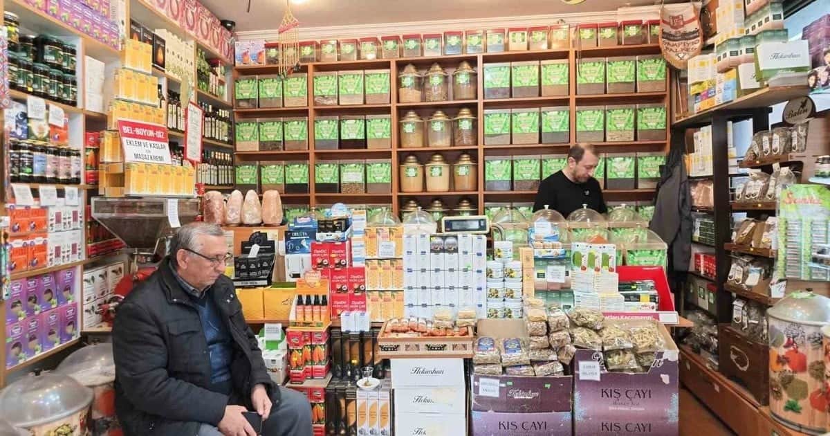 Taze zencefil balla, tarçın sıcak suyla: Baharatçıdan kış bitkileri için hazırlama tarifi
