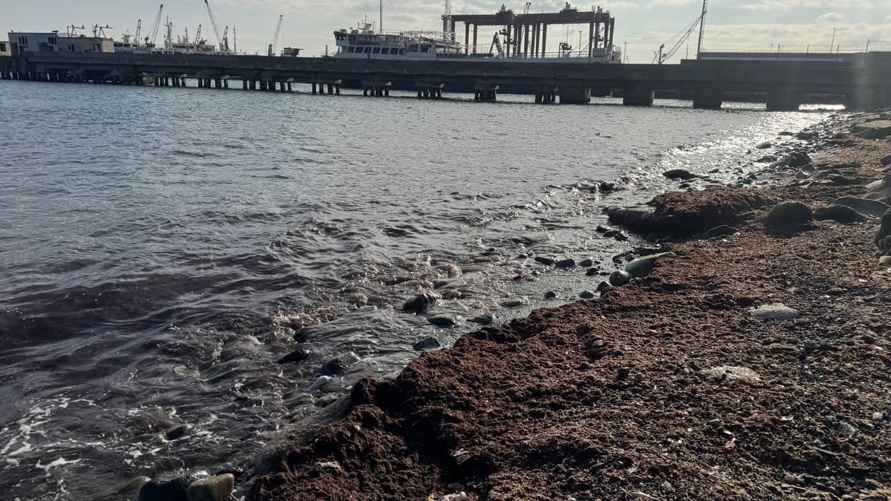 Tekirdağ'da lodos sonrası şaşırtan manzara