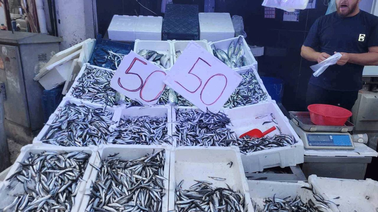 Tezgahlarda hamsi bereketi! Fiyatı düştü