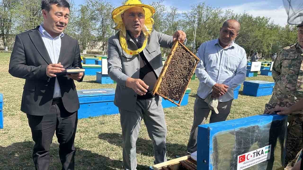 TİKA’dan Özbekistanlı kadınlara arıcılık desteği