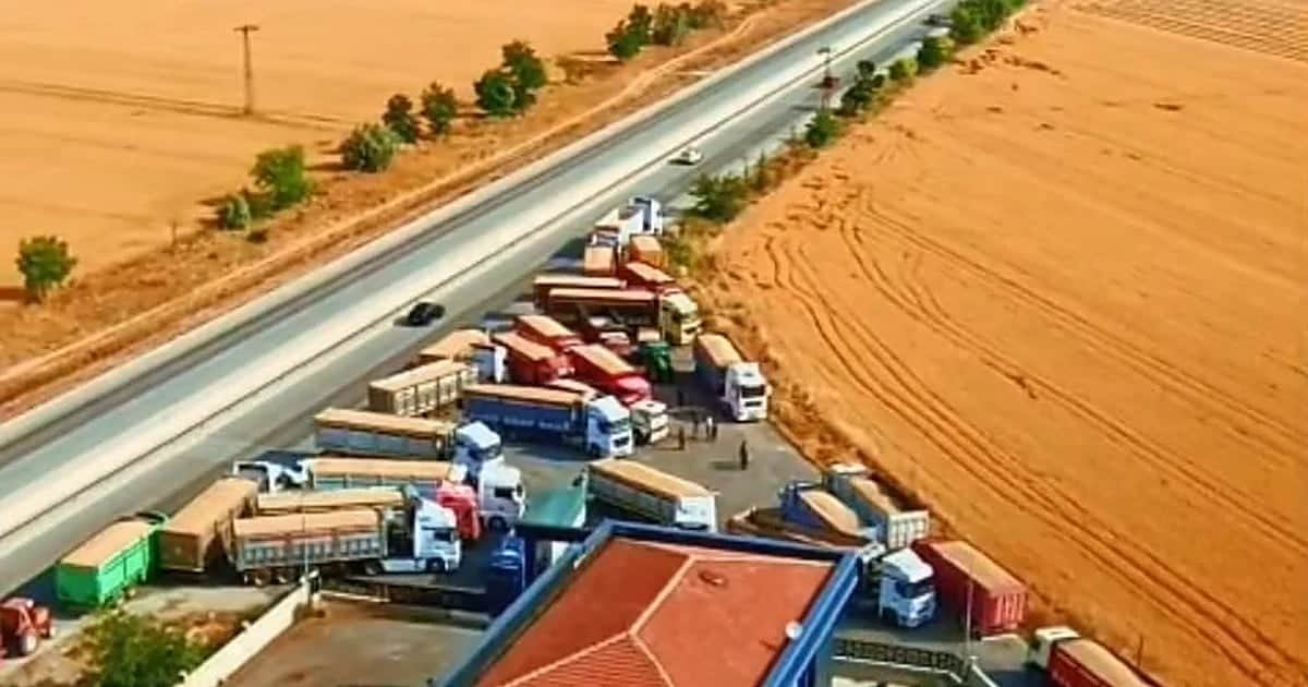 TMO, Konya'da 92 noktada yaklaşık 2 milyon ton hububat teslim aldı