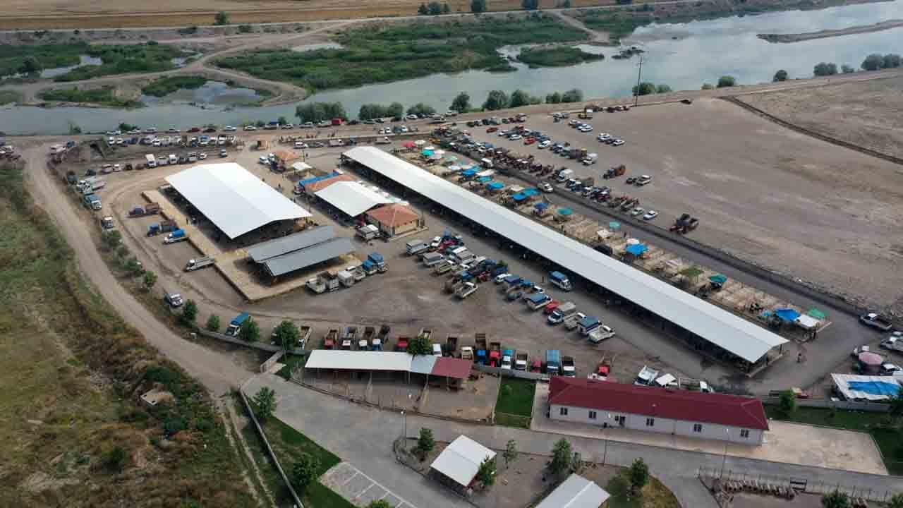 Tokat'ta koyun çiçeği karantinası: Hayvan pazarı kapatıldı!