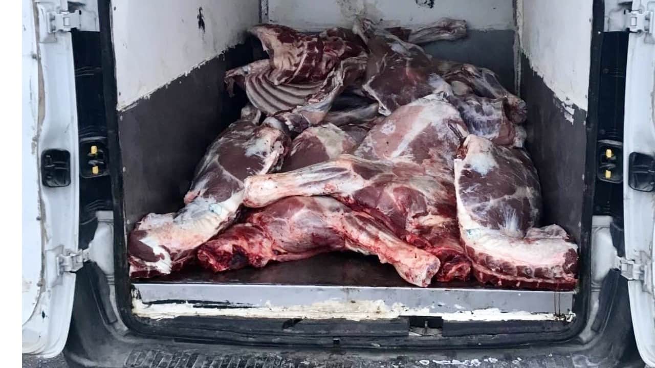 Tonlarca kaçak ve bozulmuş et ele geçirildi! Ya yakalanmasaydı?