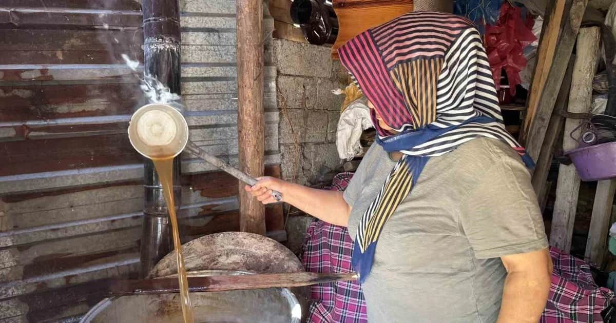 Torosların taş eriği 11 saat kaynatılıyor, ekşinin kilogramı 500 liradan satılıyor