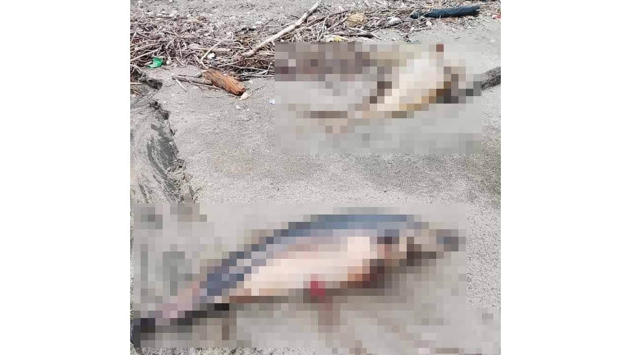Trabzon'da üzen görüntü