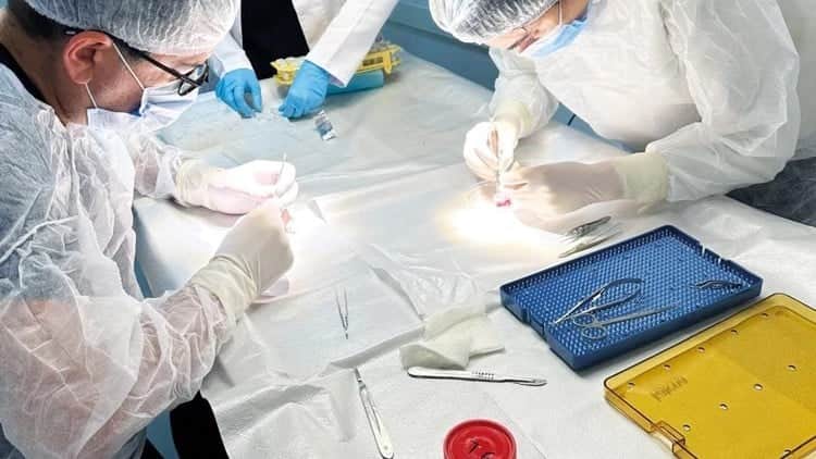 Türk bilim insanlarından dünyayı sarsacak buluş! Göz yaşlanmasını durduran "DNA zırhı" damla geliyor!