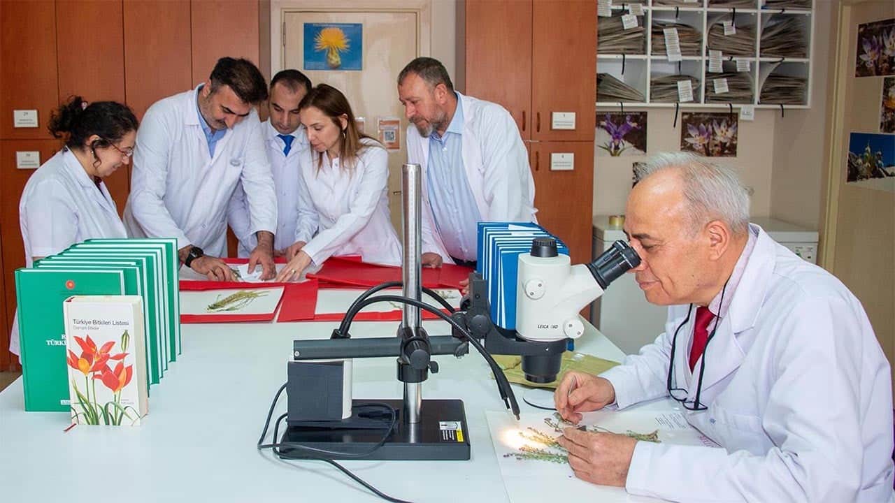 Türkiye’nin florası büyüyor Toroslar'da 4 yeni bitki türü keşfedildi