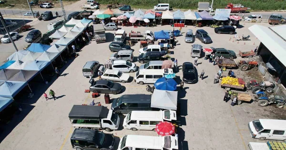 'Ürünler 10 dakika önce tarladaydı': Geyve'de tarladan tezgaha aracısız satış