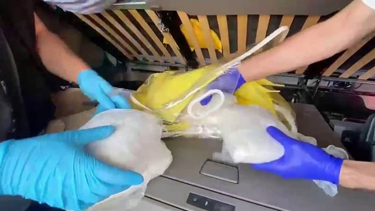 Uyuşturucu tacirlerine ağır darbe! Tırdan 12 milyonluk madde çıktı